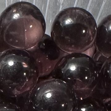 Violet 10mm