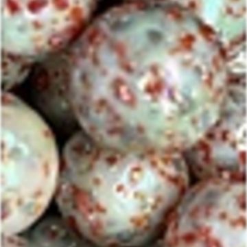 Confettis roses 16mm
