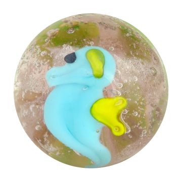 Hippocampe 16mm