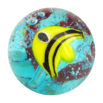 Poisson tropical 22mm