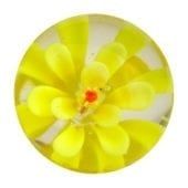 Rose trémière - jaune 16mm