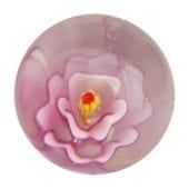 Rose trémière - rose 22mm