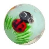 Coccinelle 22mm (bleu clair)