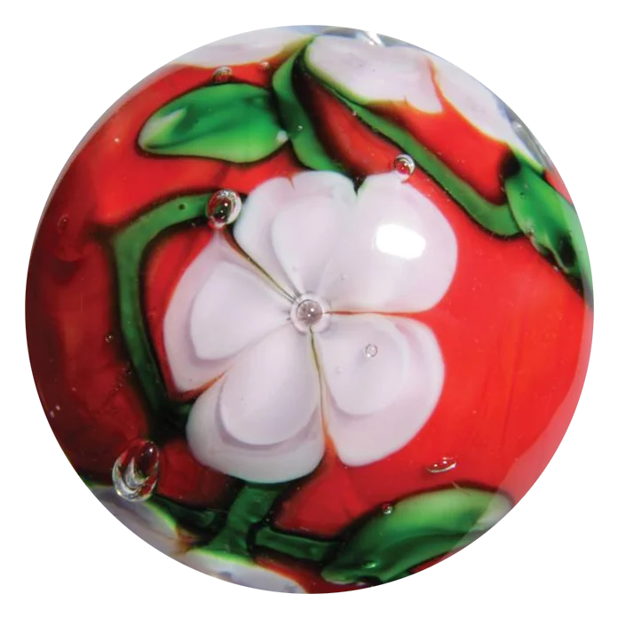 Chrysanthème 16mm