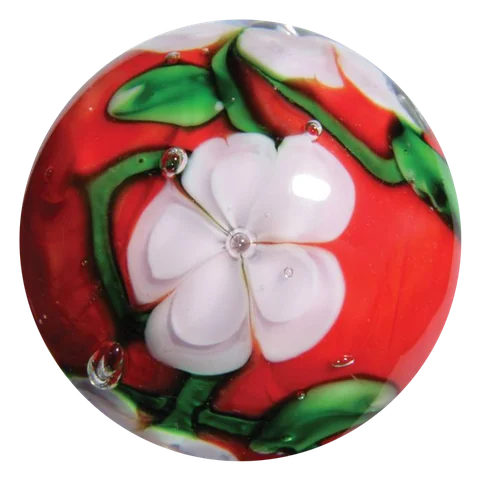 Chrysanthème 16mm
