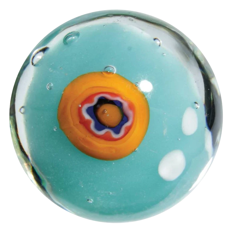 Récif corallien 22mm