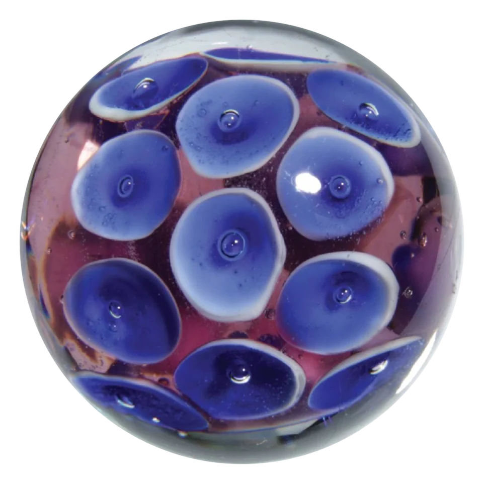 Frogspawn 16mm