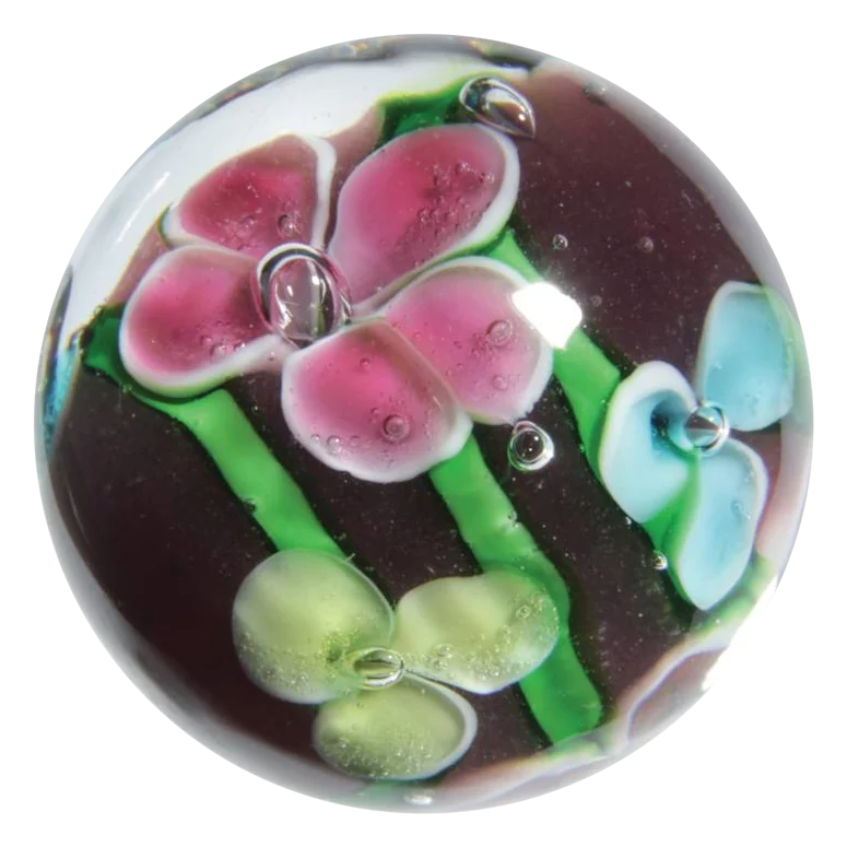 Pétunia 16mm