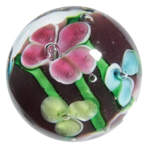 Pétunia 16mm