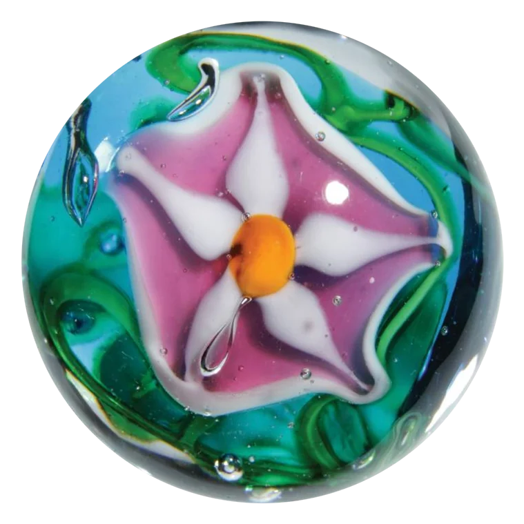 Stargazer 22mm