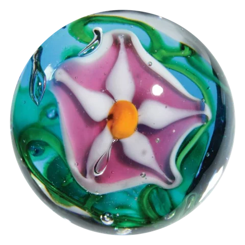 Stargazer 16mm