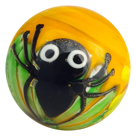 Araignée 16mm