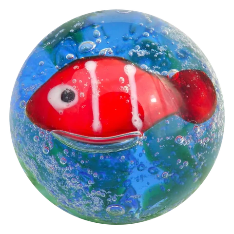 Poisson rouge 16mm