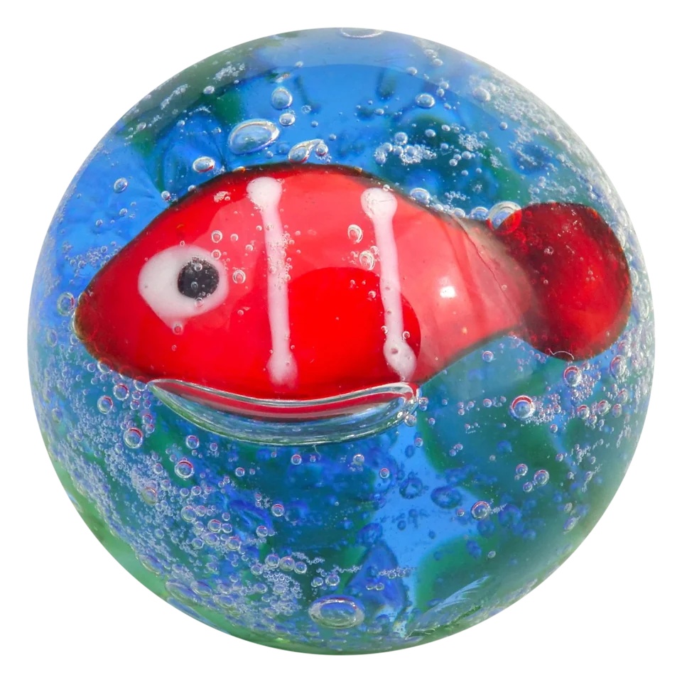 Poisson rouge 16mm