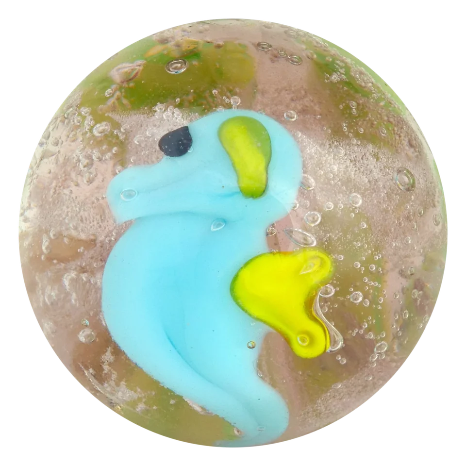Hippocampe 16mm