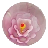 Rose trémière - rose 16mm