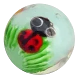 Coccinelle 22mm (bleu clair)